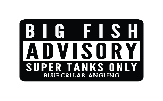 Big Fish Advisory